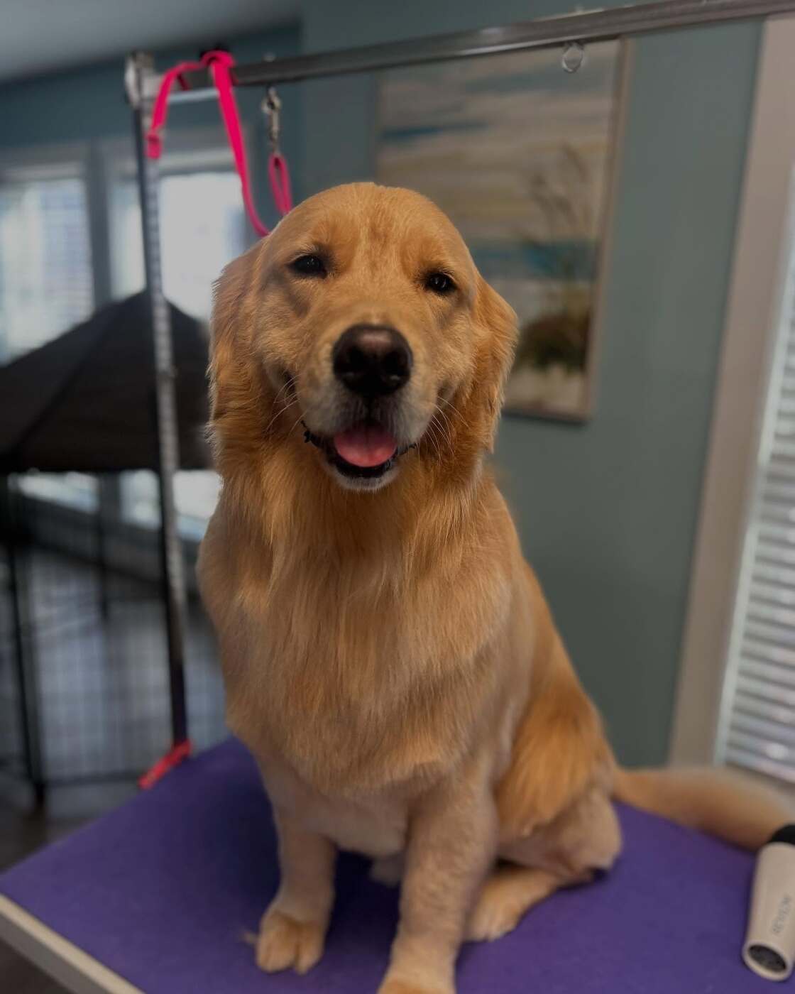 Enrollment requirements at Seaside